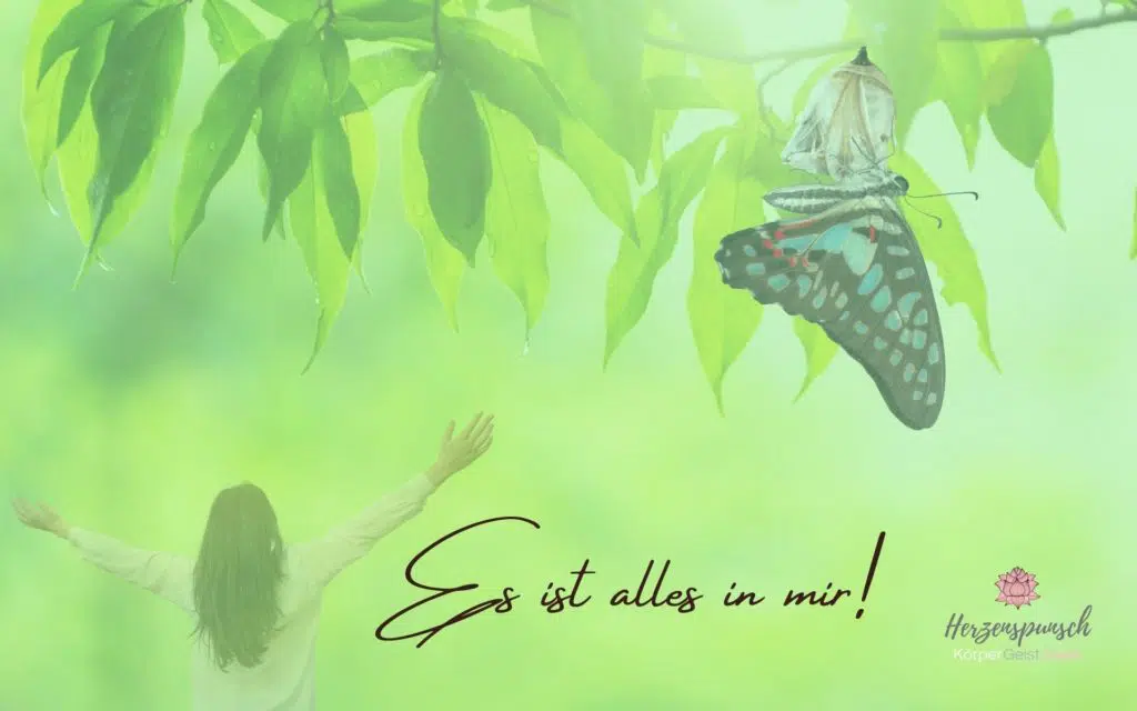 Wallpaper_Herzenspunsch_g_Es ist alles in mir